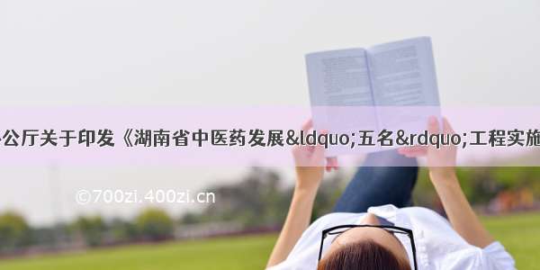 湖南省人民政府办公厅关于印发《湖南省中医药发展“五名”工程实施方案（—