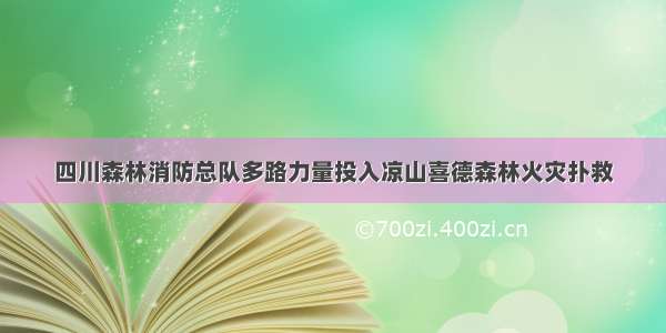 四川森林消防总队多路力量投入凉山喜德森林火灾扑救