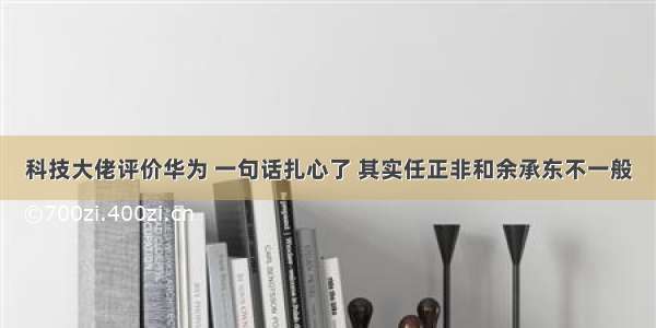 科技大佬评价华为 一句话扎心了 其实任正非和余承东不一般