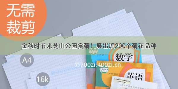 金秋时节来芝山公园赏菊！展出近200个菊花品种