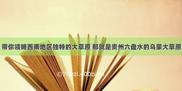 带你领略西南地区独特的大草原 那就是贵州六盘水的乌蒙大草原