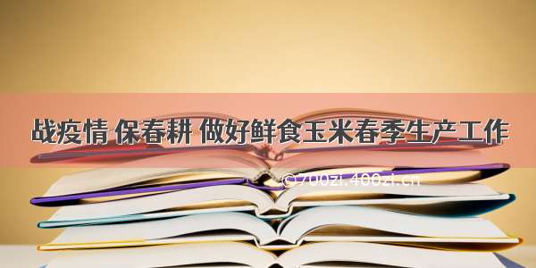 战疫情 保春耕 做好鲜食玉米春季生产工作