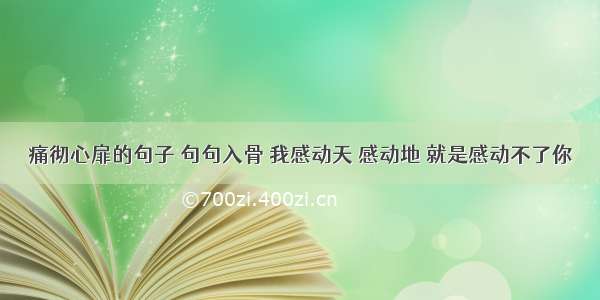 痛彻心扉的句子 句句入骨 我感动天 感动地 就是感动不了你