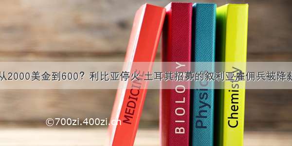 从2000美金到600？利比亚停火 土耳其招募的叙利亚雇佣兵被降薪