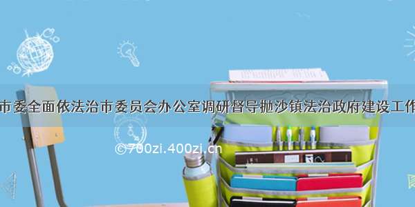 市委全面依法治市委员会办公室调研督导抛沙镇法治政府建设工作