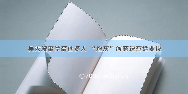 吴秀波事件牵扯多人 “炮灰”何蓝逗有话要说