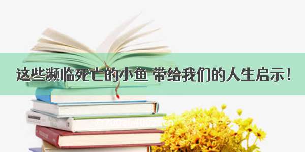 这些濒临死亡的小鱼 带给我们的人生启示！