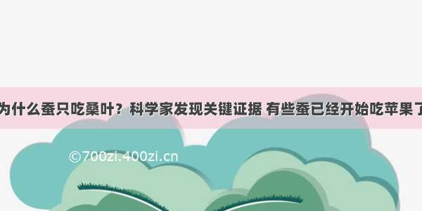 为什么蚕只吃桑叶？科学家发现关键证据 有些蚕已经开始吃苹果了