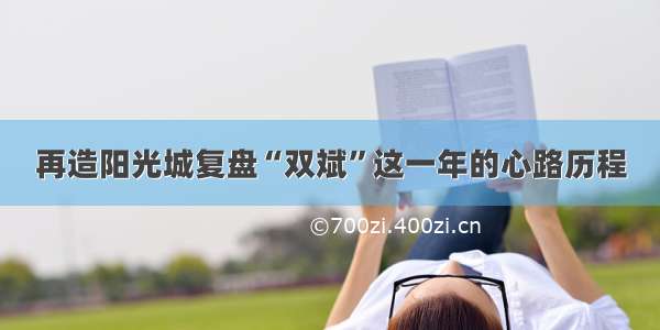 再造阳光城复盘“双斌”这一年的心路历程