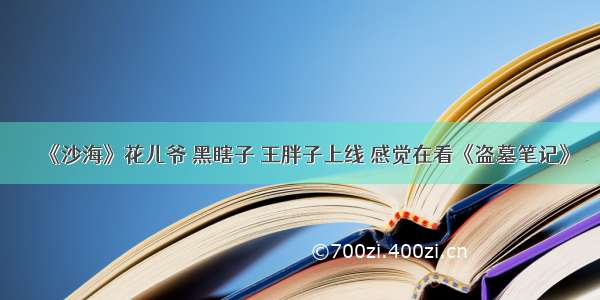 《沙海》花儿爷 黑瞎子 王胖子上线 感觉在看《盗墓笔记》