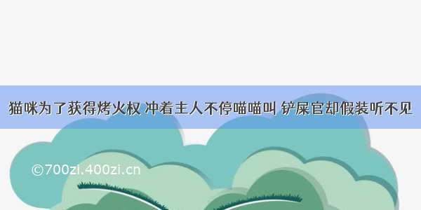 猫咪为了获得烤火权 冲着主人不停喵喵叫 铲屎官却假装听不见