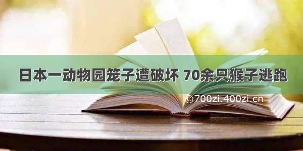 日本一动物园笼子遭破坏 70余只猴子逃跑