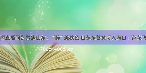 央视《新闻直播间》聚焦山东：“醉”美秋色 山东东营黄河入海口：芦花飞白醉碱蓬