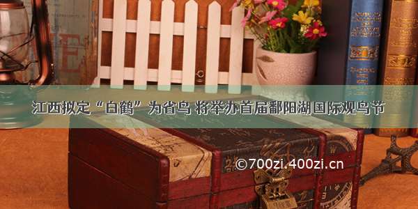 江西拟定“白鹤”为省鸟 将举办首届鄱阳湖国际观鸟节