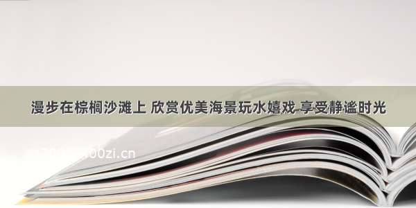 漫步在棕榈沙滩上 欣赏优美海景玩水嬉戏 享受静谧时光