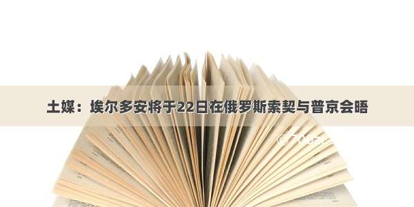 土媒：埃尔多安将于22日在俄罗斯索契与普京会晤