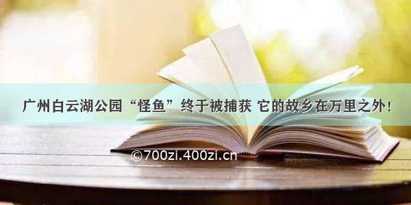 广州白云湖公园“怪鱼”终于被捕获 它的故乡在万里之外！