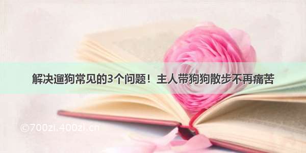 解决遛狗常见的3个问题！主人带狗狗散步不再痛苦