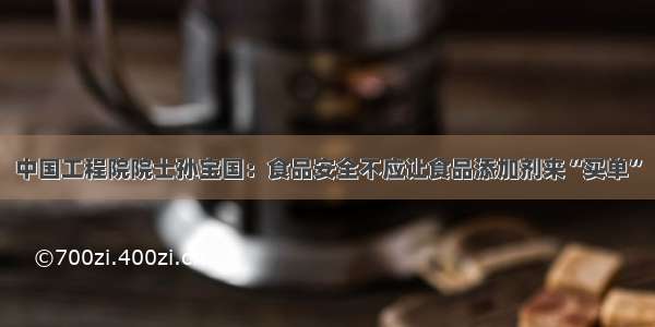 中国工程院院士孙宝国：食品安全不应让食品添加剂来“买单”