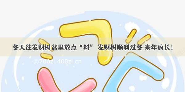 冬天往发财树盆里放点“料” 发财树顺利过冬 来年疯长！