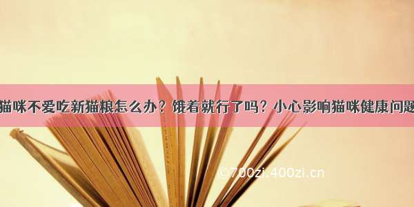 猫咪不爱吃新猫粮怎么办？饿着就行了吗？小心影响猫咪健康问题