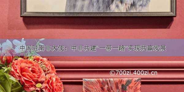 中国驻南非大使：中非共建“一带一路”实现共赢发展