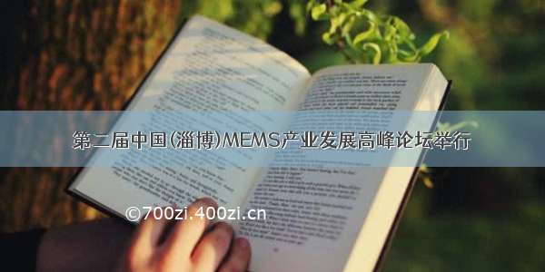 第二届中国(淄博)MEMS产业发展高峰论坛举行