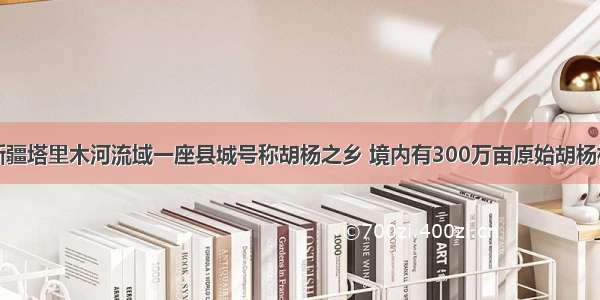 新疆塔里木河流域一座县城号称胡杨之乡 境内有300万亩原始胡杨林