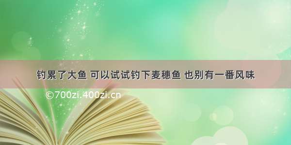 钓累了大鱼 可以试试钓下麦穗鱼 也别有一番风味