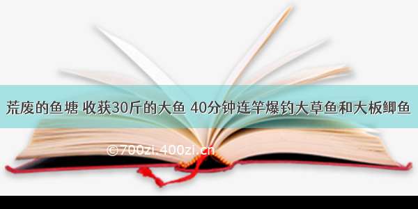 荒废的鱼塘 收获30斤的大鱼 40分钟连竿爆钓大草鱼和大板鲫鱼