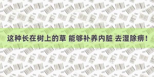 这种长在树上的草 能够补养内脏 去湿除痹！