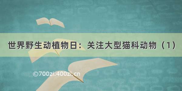 世界野生动植物日：关注大型猫科动物（1）