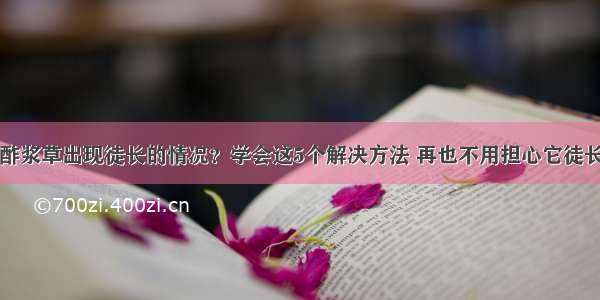 酢浆草出现徒长的情况？学会这5个解决方法 再也不用担心它徒长