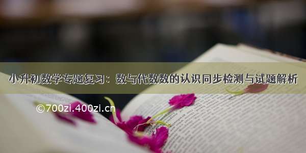 小升初数学专题复习：数与代数数的认识同步检测与试题解析