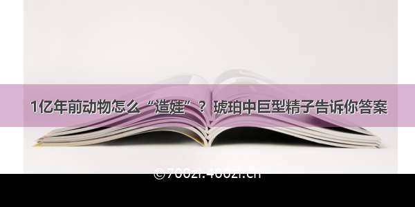 1亿年前动物怎么“造娃”？琥珀中巨型精子告诉你答案