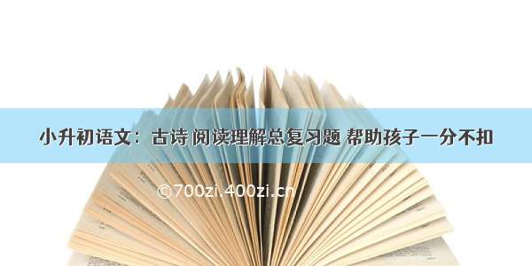 小升初语文：古诗 阅读理解总复习题 帮助孩子一分不扣