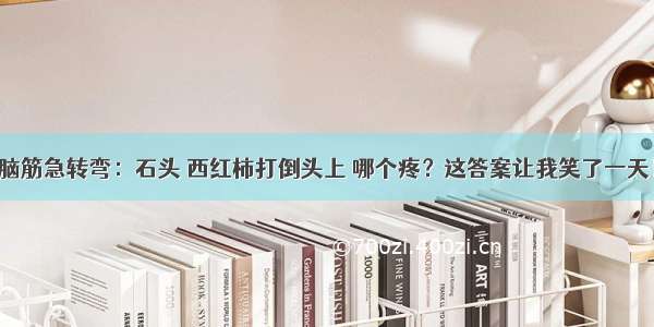 脑筋急转弯：石头 西红柿打倒头上 哪个疼？这答案让我笑了一天！