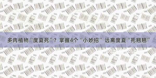 多肉植物“度夏死”？掌握4个“小妙招” 远离度夏“死翘翘”