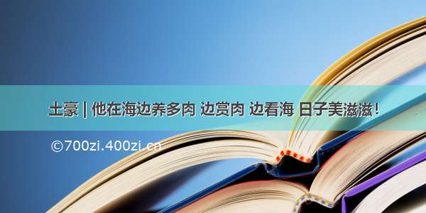 土豪 | 他在海边养多肉 边赏肉 边看海 日子美滋滋！