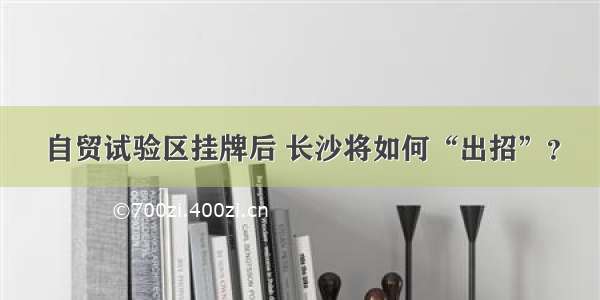 自贸试验区挂牌后 长沙将如何“出招”？