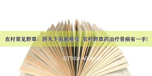 农村常见野草：阴天下雨就难受  农村野草药治疗骨病有一手!