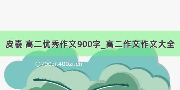 皮囊 高二优秀作文900字_高二作文作文大全