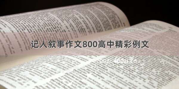 记人叙事作文800高中精彩例文