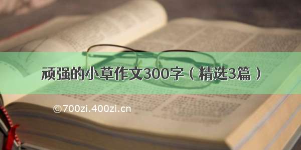 顽强的小草作文300字（精选3篇）