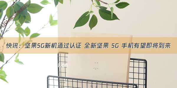 快讯：坚果5G新机通过认证 全新坚果 5G 手机有望即将到来