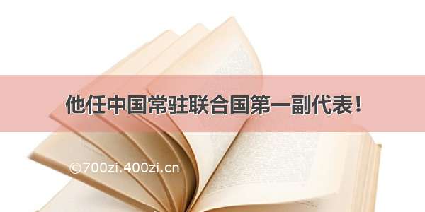 他任中国常驻联合国第一副代表！