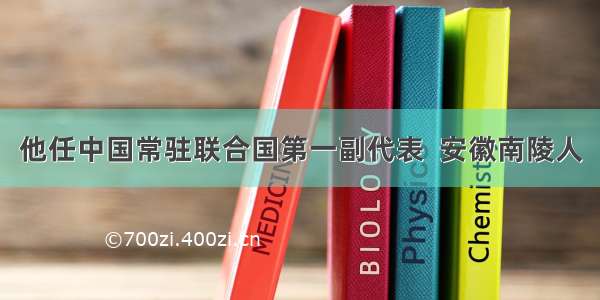 他任中国常驻联合国第一副代表  安徽南陵人