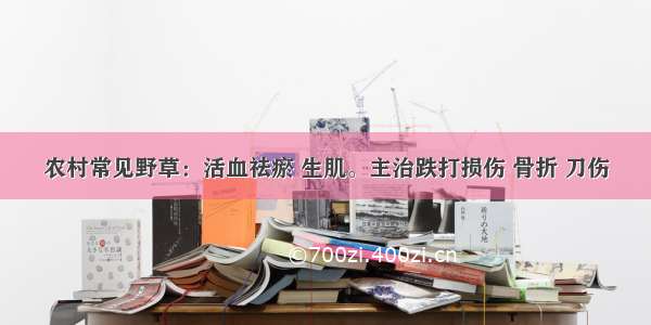 农村常见野草：活血祛瘀 生肌。主治跌打损伤 骨折 刀伤