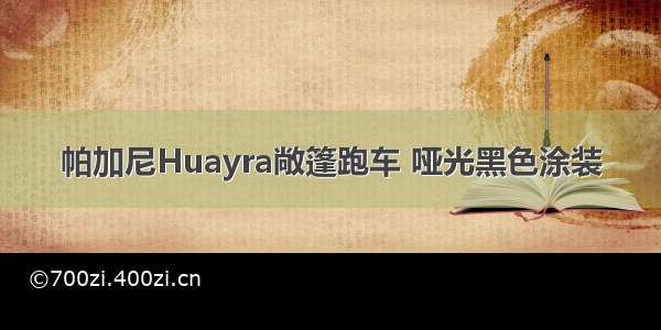 帕加尼Huayra敞篷跑车 哑光黑色涂装