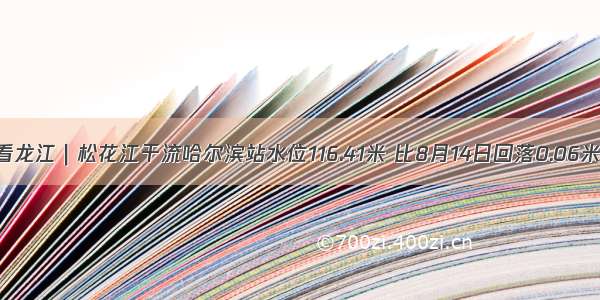 看龙江｜松花江干流哈尔滨站水位116.41米 比8月14日回落0.06米